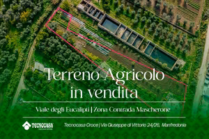 TER. AGRICOLO A MANFREDONIA