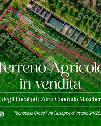 TER. AGRICOLO A MANFREDONIA