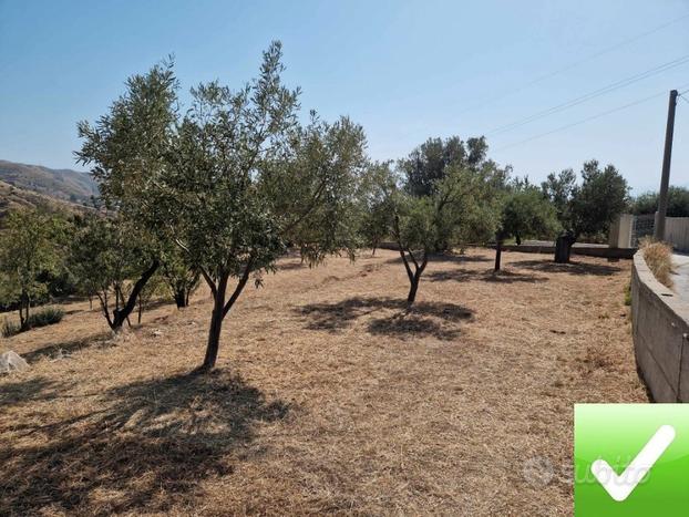 Terreno Pressi Oliveto 1400 Mq