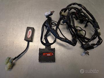Centralina Rapid Bike + cablaggi impianto elettric
