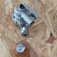 Pompa Olio Motore Piaggio Porter 1000
