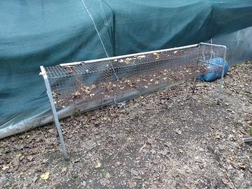 gabbia per conigli