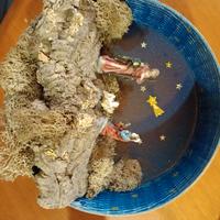 Natività in setaccio