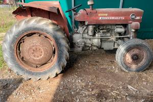 Massey Ferguson 135 50 cv