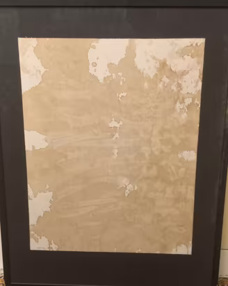 Hermann NitschSangue su tela 72*50