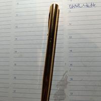 stilografica water man placcato oro pennino oro 75
