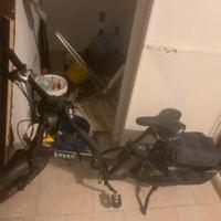 Bicicletta elettrica