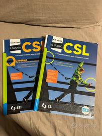 Il Nuovo CSL – Cantiere e sicurezza – 2 libri