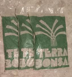 Set tre buste Terra per Bonsai – Crespi Bonsai