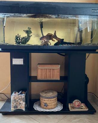 Acquario 100 l, Filtro esterno, mobile e accessori