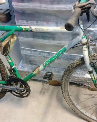 Bicicletta da uomo