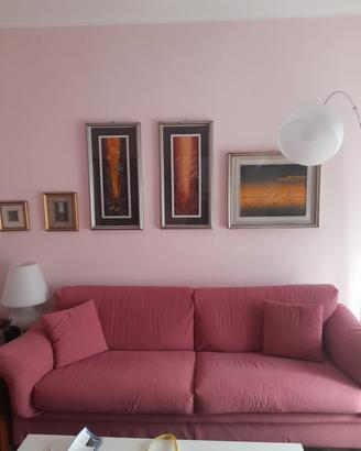 2 divani letto 