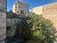 Immagine 11
