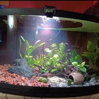 acquario 120 litri con filtro askoll pratiko 200