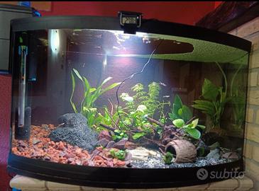 acquario 120 litri con filtro askoll pratiko 200