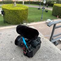 Sony a1