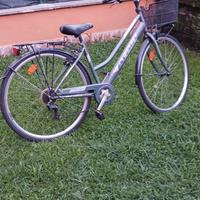 bicicletta