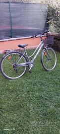 bicicletta