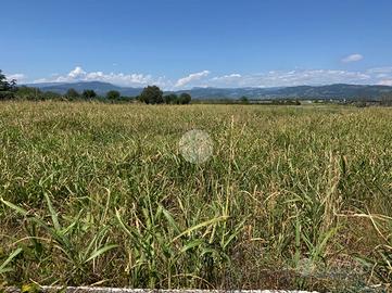 TER. AGRICOLO A VERONA