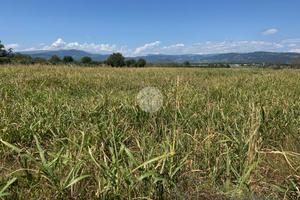TER. AGRICOLO A VERONA