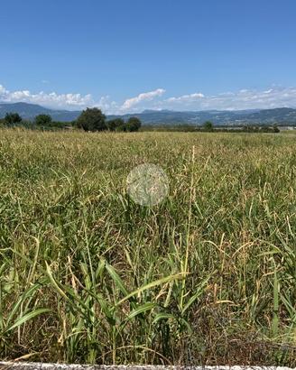 TER. AGRICOLO A VERONA