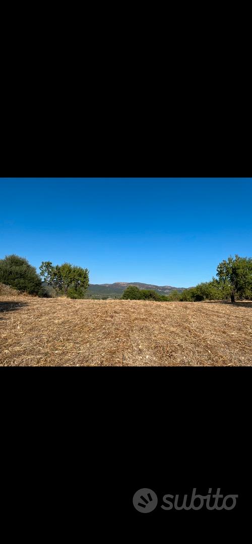 Terreno - Vista 5