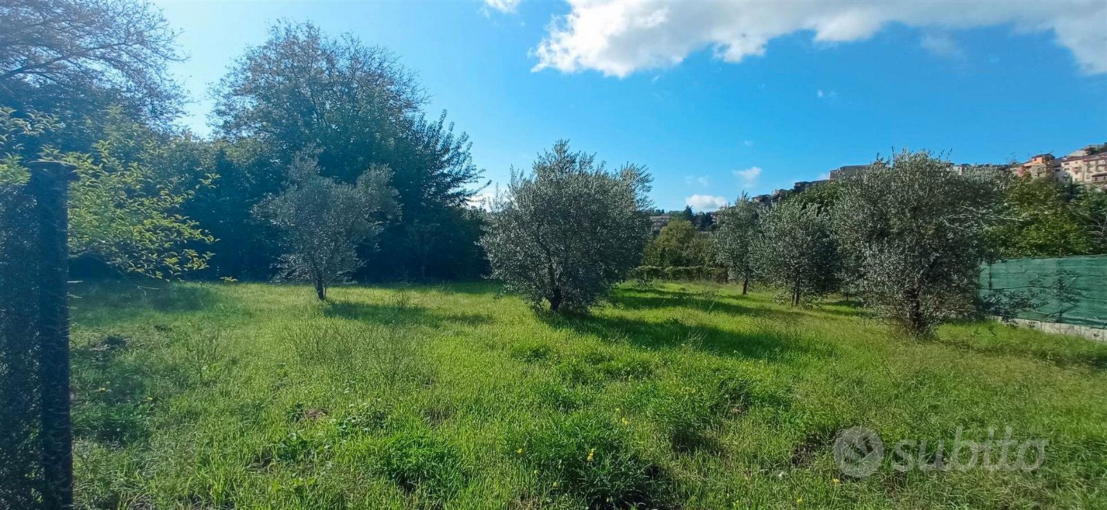 Casa – Prata di Principato Ultra, Ponte Sabato II - Altro