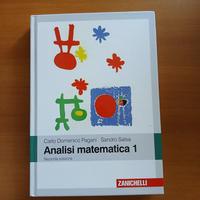 Analisi matematica 1 seconda edizione