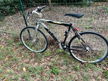 Bici usate