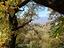 Immagine 28
