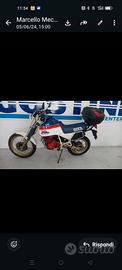 Honda Xl600LrRm