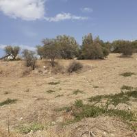 Vendita terreno con rudere