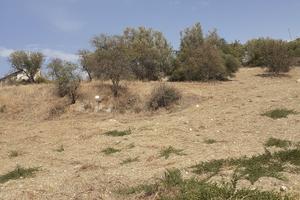 Vendita terreno con rudere