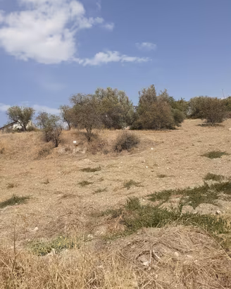Vendita terreno con rudere