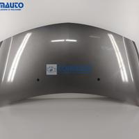 Cofano RENAULT CLIO III '05