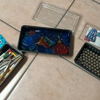 GEOMAG magnetic world