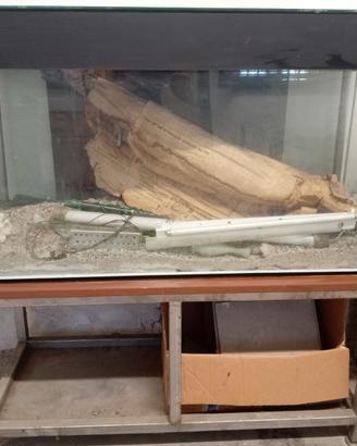 Acquario con mobile acciaio