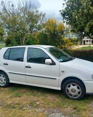 Auto vw polo