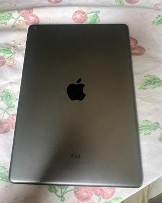 Ipad apple