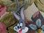 Immagine 1