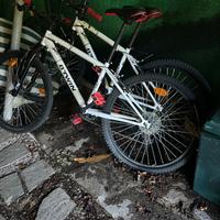 Bici mountain bike