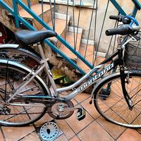 bicicletta da donna 