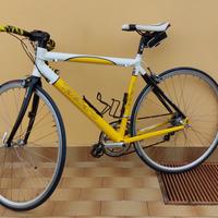 Bici da corsa da donna