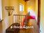 Immagine 14
