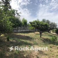 CASA SINGOLA A SPOLTORE