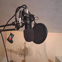 microfonoNEEWER  NW 700