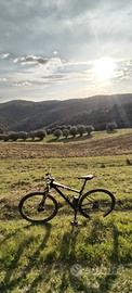 mtb focus raven carbon 29