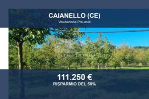 Immobile in asta di 115 m² a Caianello