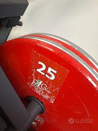 Dischi powerlifting - Powergear