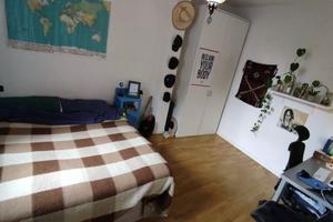 Grazioso appartamento